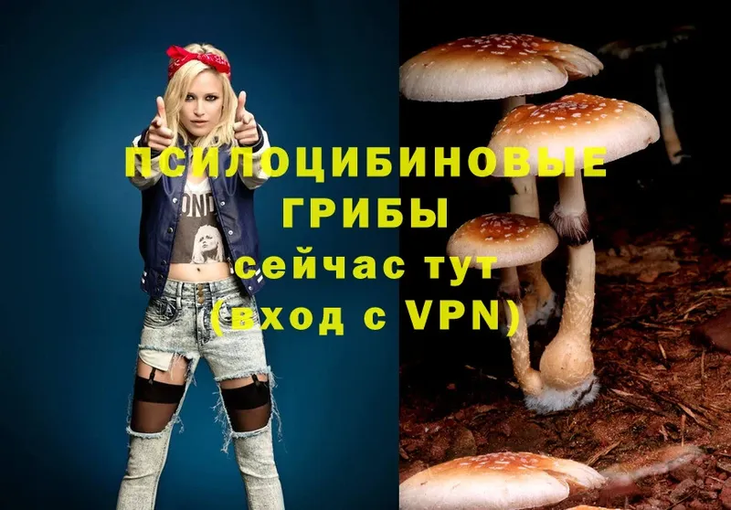 Галлюциногенные грибы Magic Shrooms  Бавлы 